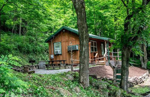 Cabin in the woods w/ WIFI close to Monongahela National Forest - Foto 14