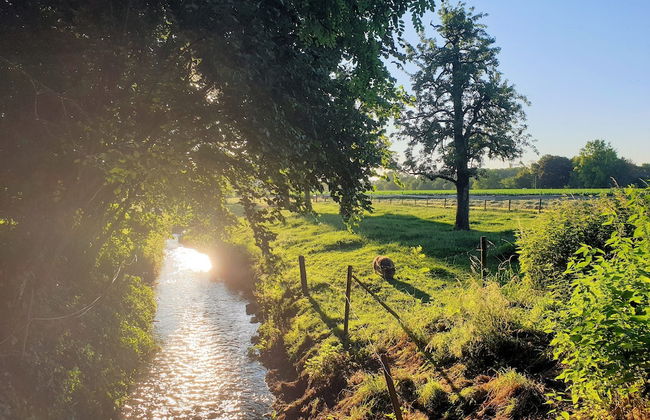 Located Near Maastricht Towards the Belgium Border - Foto 75