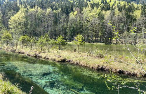 Am Ampferang:Ferienhaus in Ettal - Foto 39