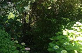 Haus Wagner - Foto 24