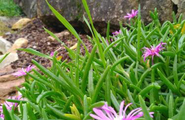 Cottage de La Mothe - Foto 55