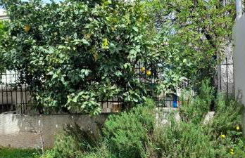 Seabreeze Home - Foto 32