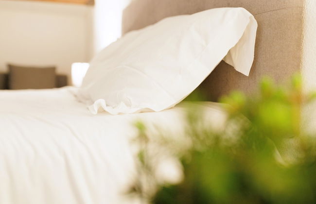 ANANA Balcon Cerdan - Photo 6