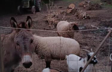 Gîte la grange - Foto 11