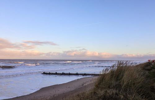 Paws By The Sea - Foto 21