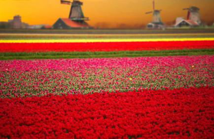 Extravagant 3 Level Penthouse at The Grand Castle - Foto 52