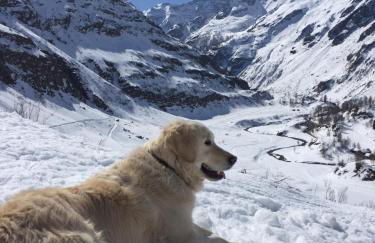 Giuditta FreeCarPark&Garden - Photo 53