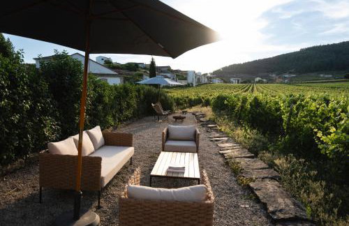 Morgadio da Calcada Douro Wine&Tourism - Photo 8