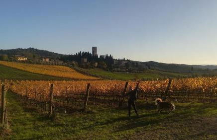 Chianti Craft House Badia a Passignano - Foto 27