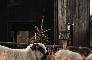 Owczarnia Tatry - Foto 9