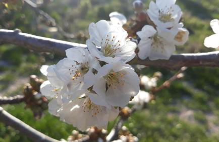 Cabañas Imagina - Foto 8