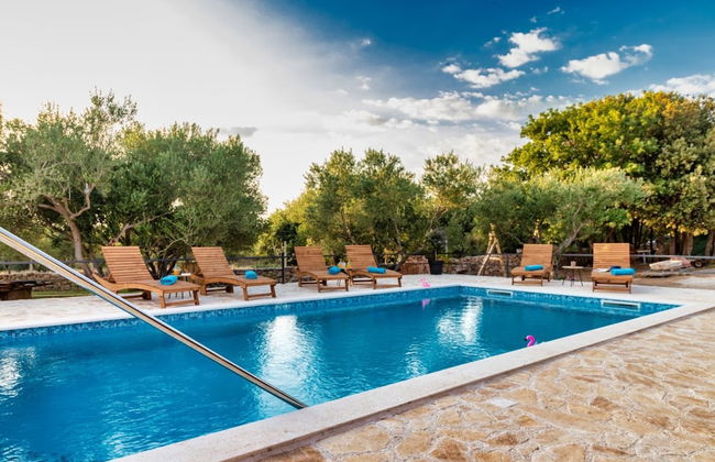 Vintage Winehouse Backov - Foto 15