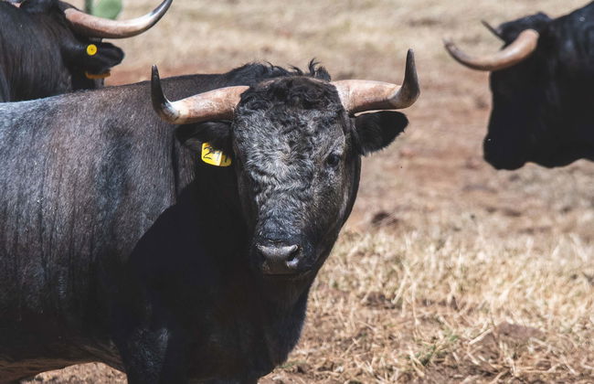 Tlaxcala Haciendas Tour - Photo 1