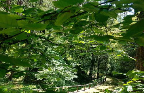 Il Bosco di Campo Marzano green & sky - Foto 41