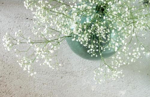 Flateli Vilopriu - Foto 16