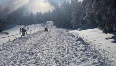 Ferienwohnung - Photo 4