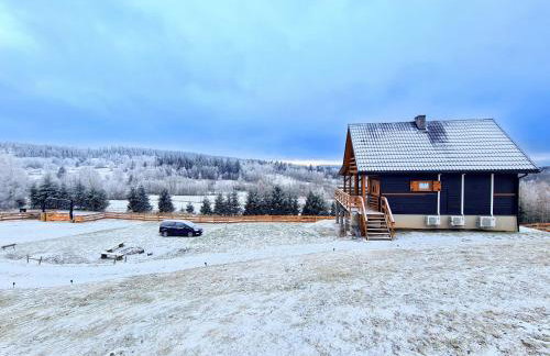 Osada Sierpnica - Uroczy dom z kominkiem i balią w Górach Sowich - Foto 38