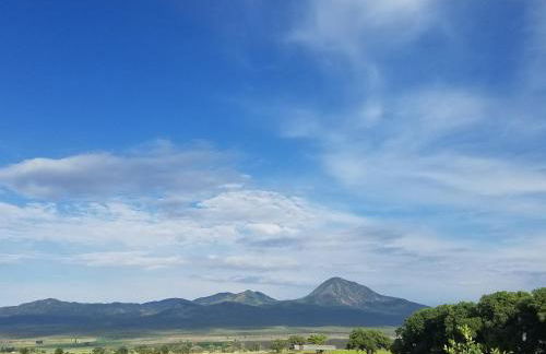 Grizzly Roadhouse Bed and Breakfast - Foto 47