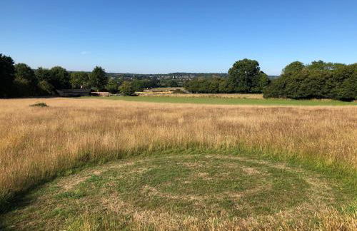 Deer Lodge - Photo 21