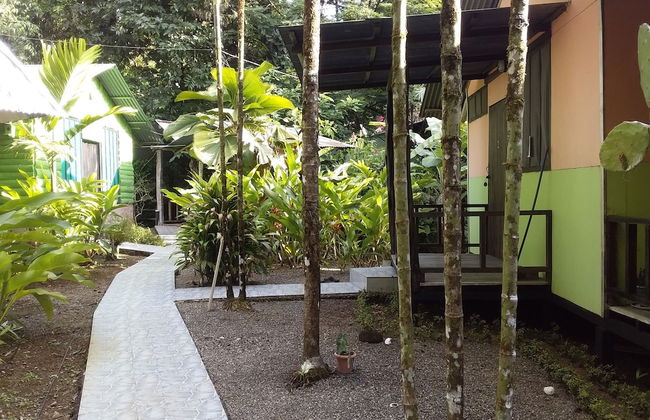 Drake Lapas - Foto 34