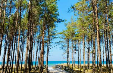 Nadmorska Ostoja Lubiatowo - Foto 32