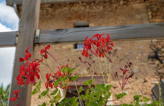 Storehouse With Pool Near Monpazier - Photo 38