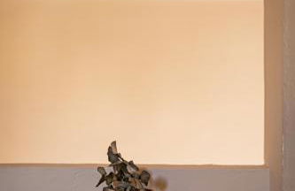 Can Noves - Villa de 4 Suites 22 y 34 - Foto 13