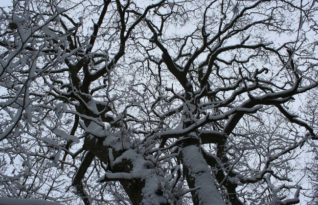 Traditional Apartment near Sea in Kühlungsborn - Foto 10
