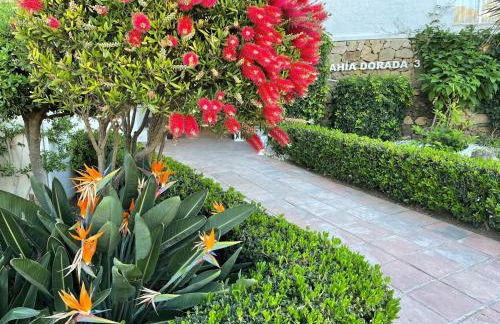 La Casa de Colores - Photo 40