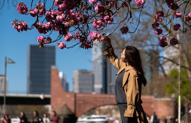 Tour fotográfico de Frankfurt con fotógrafo profesional - Foto 6