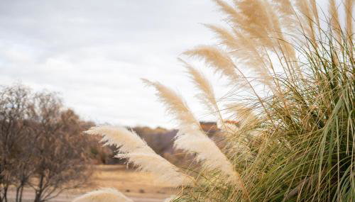 Terracotta Cove - Sedona, Jerome, Wineries - Foto 4