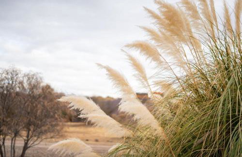 Terracotta Cove - Sedona, Jerome, Wineries - Foto 4