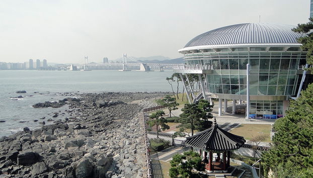 Busan City A Course - Tour Privado de Dia Inteiro - Foto 3