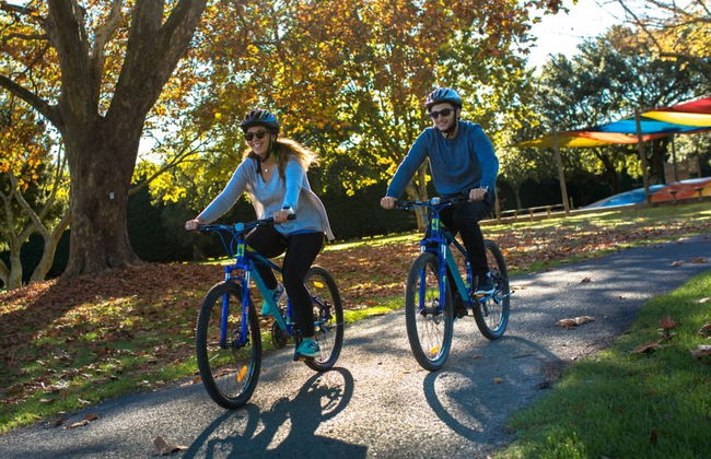 Motueka TOP 10 Holiday Park - Foto 43