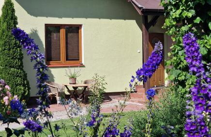 "Jabłonie i grusze" Nice home in a big garden with sauna and wifi - Foto 2