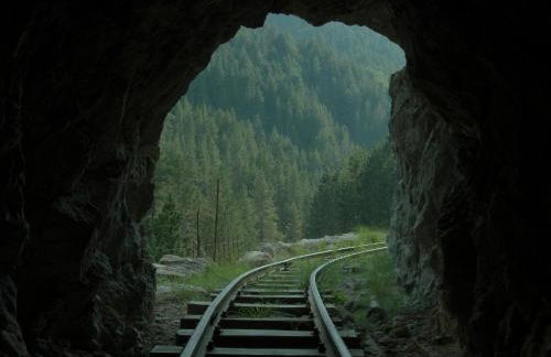 Cal Carol - Photo 14