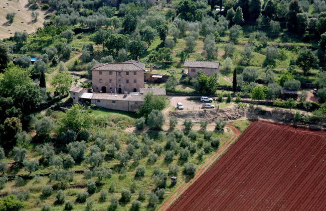 Agriturismo Podere Ficareto - Foto 1