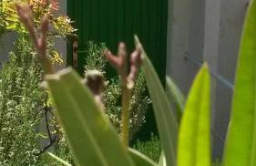 Apartment love Cvita,amazing sea view - Foto 10