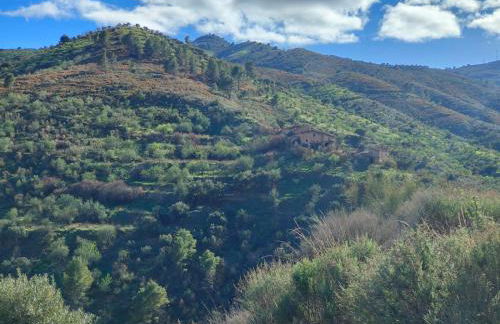 Cortijo Vacas Gordas Villas - Foto 5