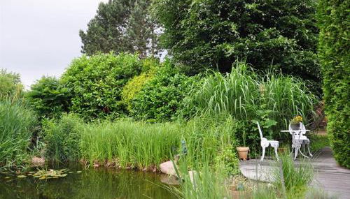 Ferienwohnungen Abraham - Foto 4