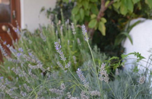 Casa do Alfaiate - Foto 42