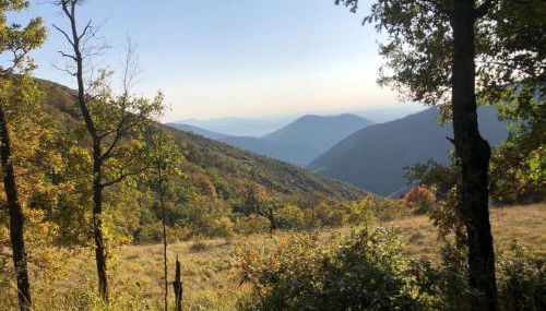 Maison de Vacances Provençale " Les Volets Verts " - Foto 4