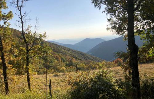 Maison de Vacances Provençale " Les Volets Verts " - Foto 4