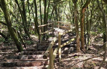 Finca Contero - Foto 20