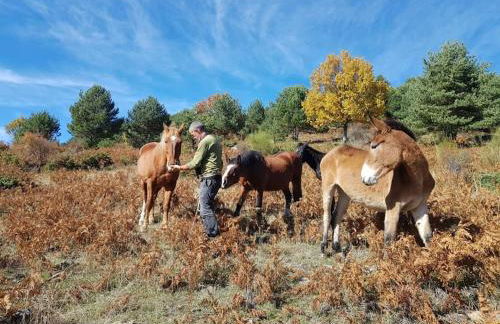 Via Fera, con vistas a la naturaleza - Foto 44