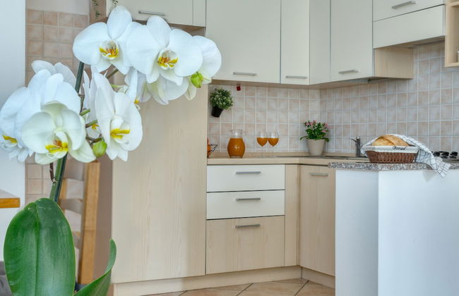 IzzHome Everyway - Foto 14