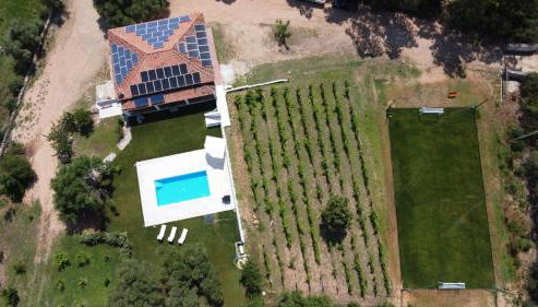 Gli Olivastri Guest House - Foto 4, Garden, sunbed, Garden view