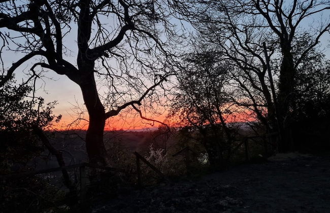 The Old Stables - Foto 15