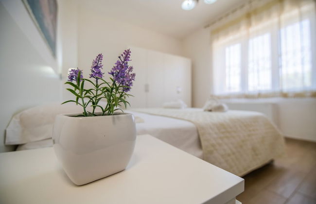 O Sole Mio Pompei - Foto 28