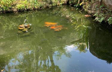 Fazenda Monte Sinai - Photo 6